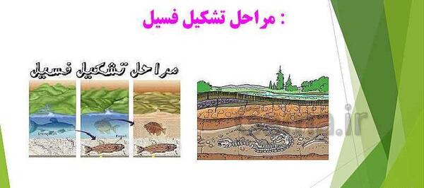 عکس چگونگی تشکیل فسیل