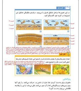 عکس فسیل پایه پنجم