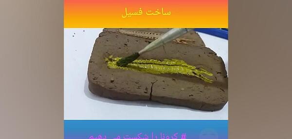 عکس فسیل برای کلاس پنجم