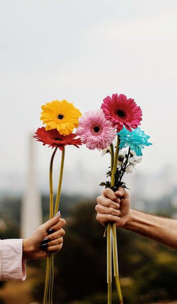 عکس تصویر پس زمینه گل زیبا