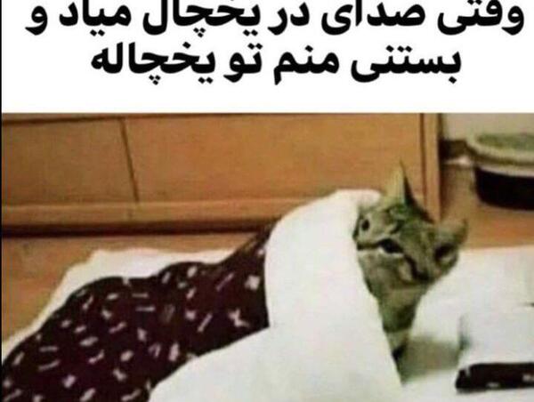 عکس میم های ایرانی