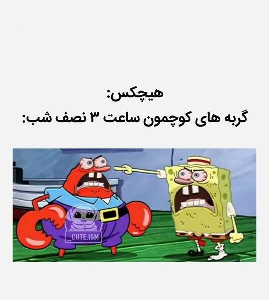 عکس های میم خنده دار