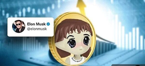 عکس برای میم کوین