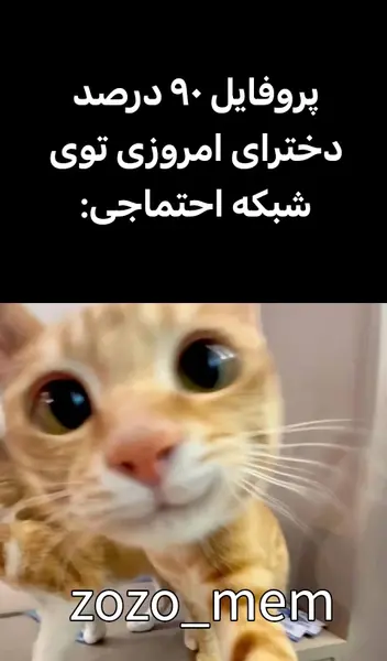 عکس میم پروفایل
