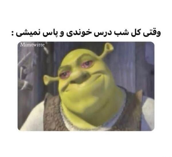 عکس میم های معروف ایرانی