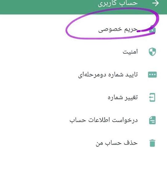 عکس چجوری استوری واتساپ ببینم طرف نفهمه نی نی سایت