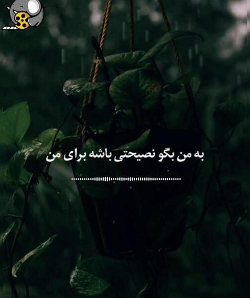 عکس کلیپ استوری واتساپ مفهومی مهران مدیری