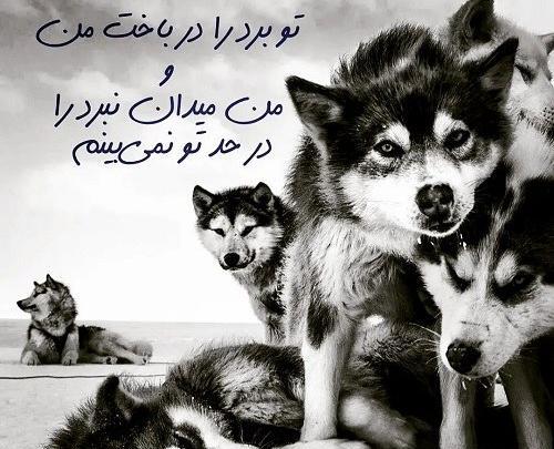 عکس کلیپ استوری واتساپ مفهومی