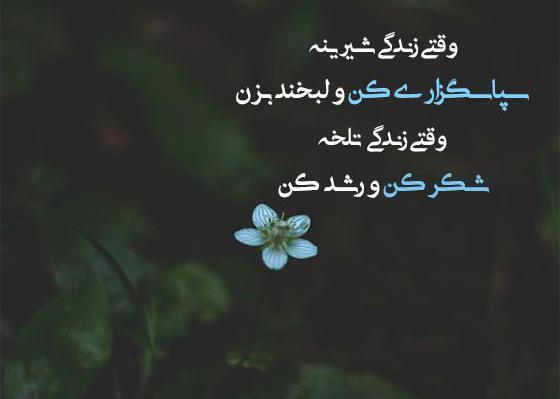 عکس استوری واتساپ خداروشکر