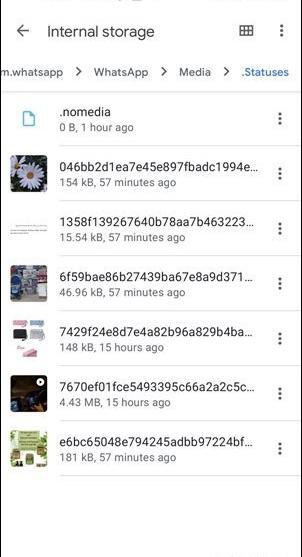 عکس ذخیره استوری واتساپ