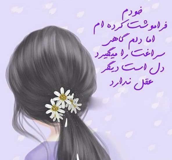 عکس استوری حال خوب برای واتساپ