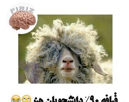 عکس پسر لاغر خنده دار