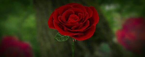 عکس تصویر زمینه سه بعدی متحرک گل
