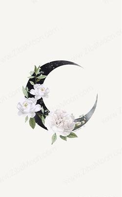 عکس تصویر زمینه سفید ایفون