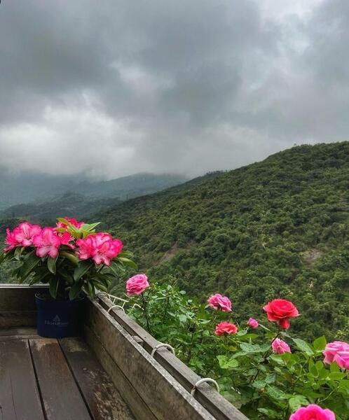 عکس تصویر زمینه طبیعت ایران
