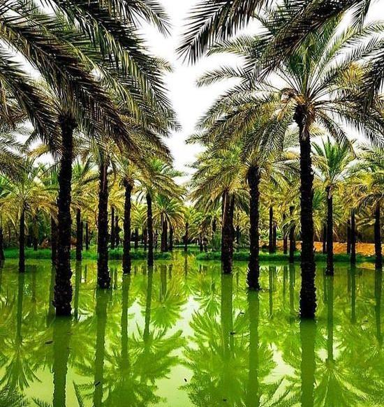 عکس تصویر زمینه طبیعت ایران