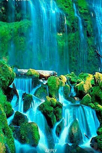 عکس تصویر زمینه طبیعت متحرک