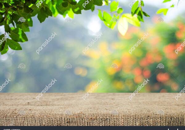 عکس تصویر زمینه روشن طبیعت