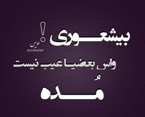 عکس نوشته بیشعوری و نفهمی