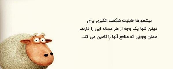 عکس نوشته بیشعوری و نفهمی