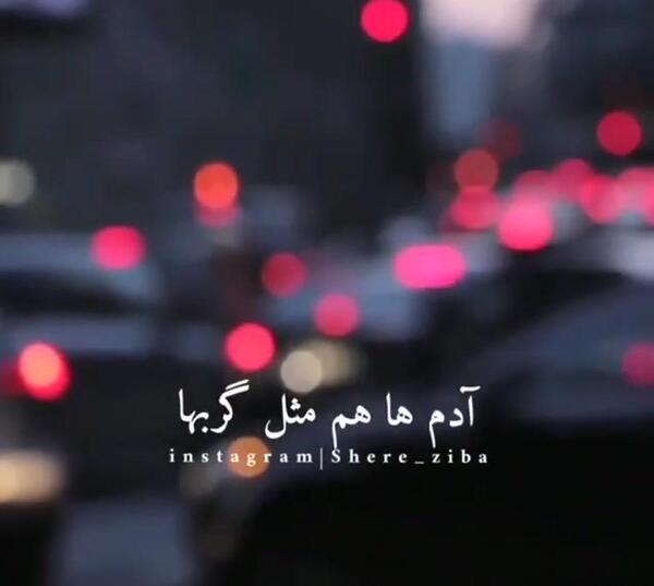 عکس نوشته بیشعوری و نفهمی