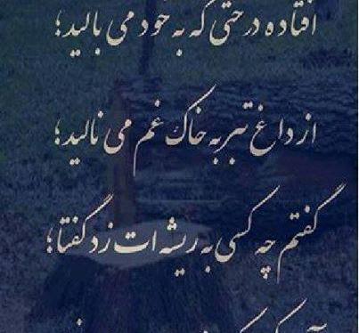 عکس نوشته سکوتم از رضایت نیست دلم اهل شکایت نیست