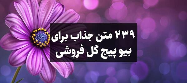 جملات زيبا عکس نوشته گل آفتابگردان