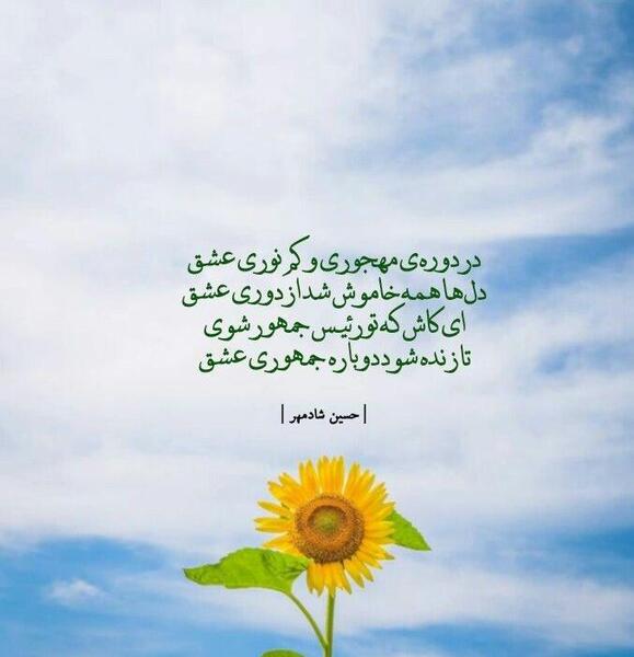پروفایل جملات زيبا عکس نوشته گل آفتابگردان