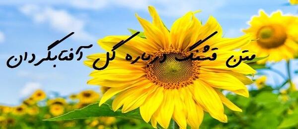 پروفایل جملات زيبا عکس نوشته گل آفتابگردان