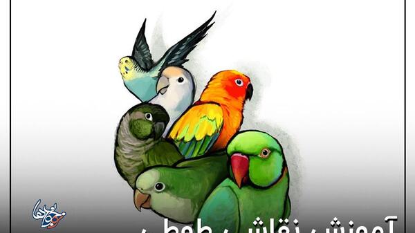 عکس نقاشی کودکانه طوطی روی درخت