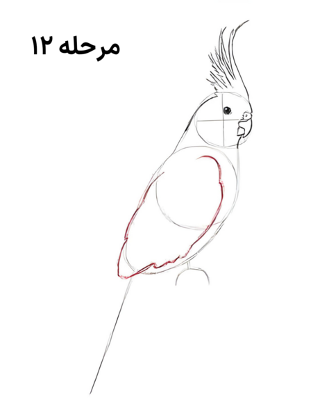 عکس نقاشی کودکانه عروس هلندی
