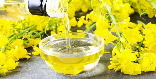 عکس نقاشی کودکانه غذای سالم روغن سالم