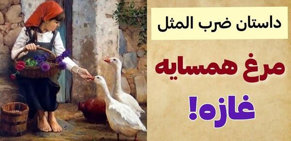 عکس نقاشی کودکانه مرغ همسایه غاز است