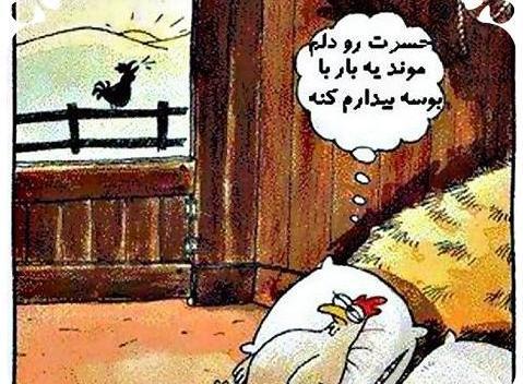 عکس نقاشی کودکانه مرغ همسایه غاز است