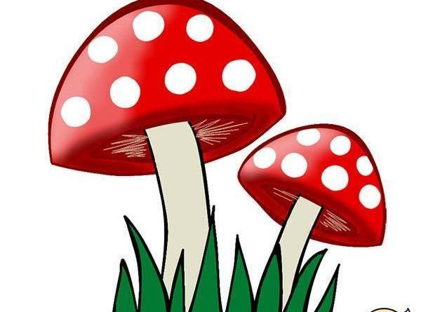 عکس نقاشی کودکانه قارچ ساده