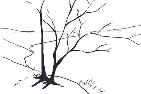 عکس نقاشی قارچ کودکانه کلاس چهارم