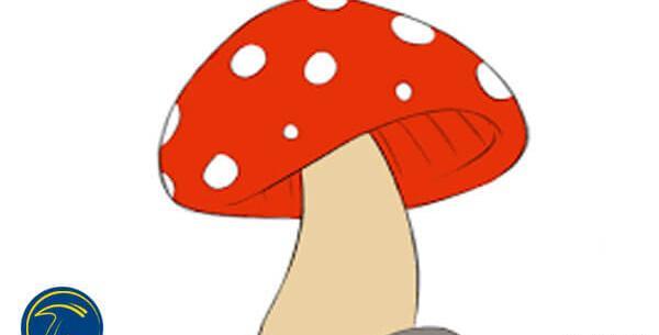 عکس نقاشی کودکانه کلبه قارچی