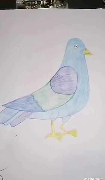 عکس نقاشی کودکانه کبوتر ساده