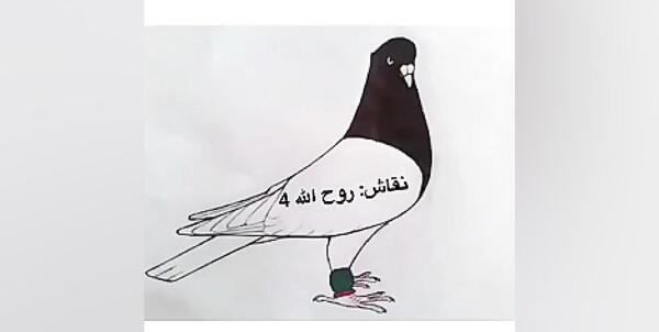 عکس نقاشی کودکانه کبوتر نامه بر