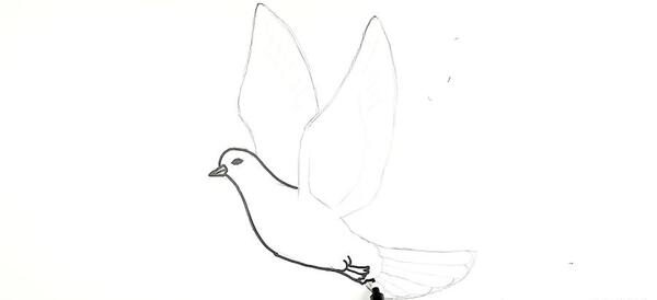 عکس نقاشی کودکانه کبوتر نامه بر
