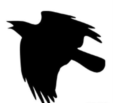 عکس نقاشی کودکانه کلاغ روی شاخه