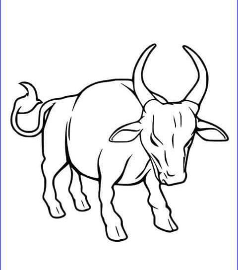 عکس نقاشی کودکانه گاو نر
