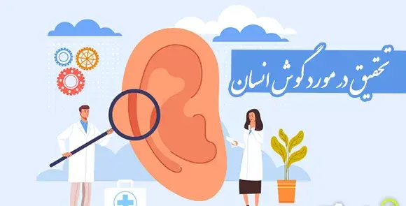 عکس نقاشی کودکانه گوش انسان