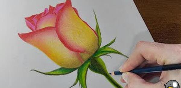 عکس نقاشی ساده کودکانه گل رز