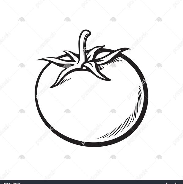 عکس نقاشی برش گوجه فرنگی کودکانه