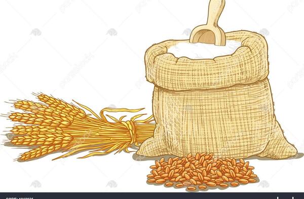 عکس نقاشی کودکانه نان و گندم