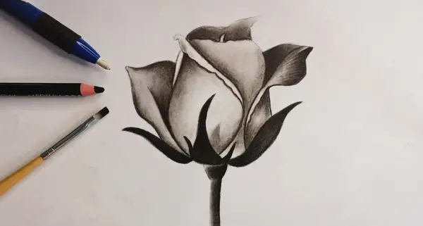 عکس نقاشی سیاه قلم ساده و ابتدایی گل