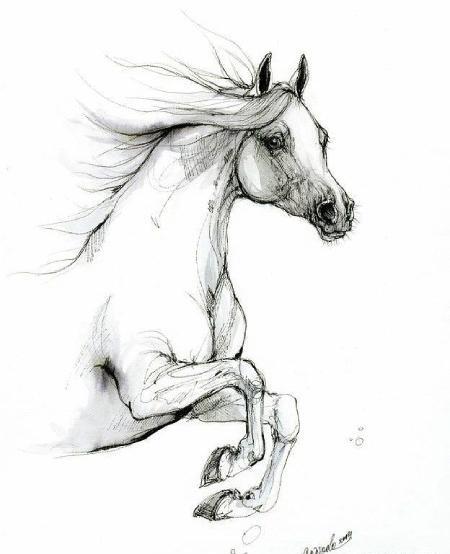 عکس نقاشی سیاه قلم ساده و ابتدایی حیوانات
