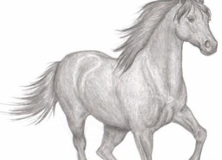 عکس نقاشی سیاه قلم اسب آسان