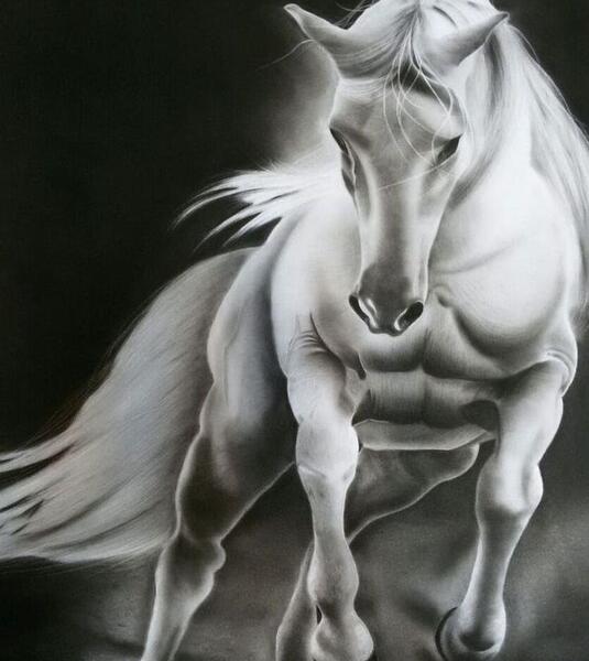 عکس نقاشی سیاه قلم سر اسب